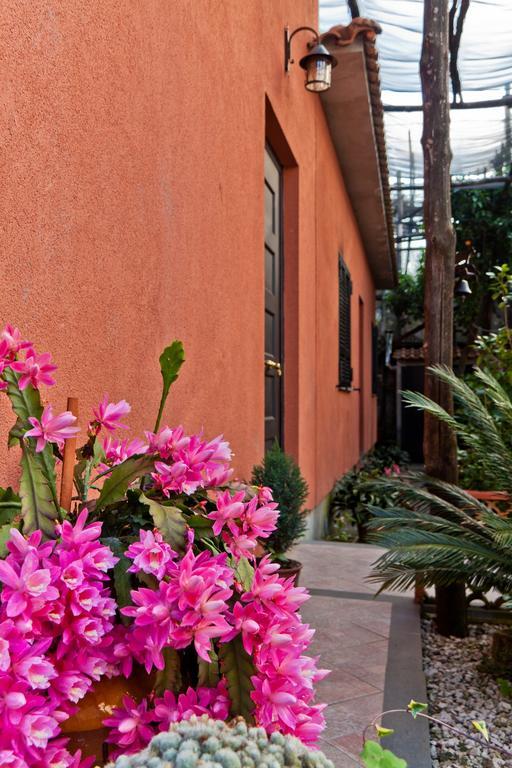 La Maison De Titty & Margherita Piano di Sorrento Ngoại thất bức ảnh
