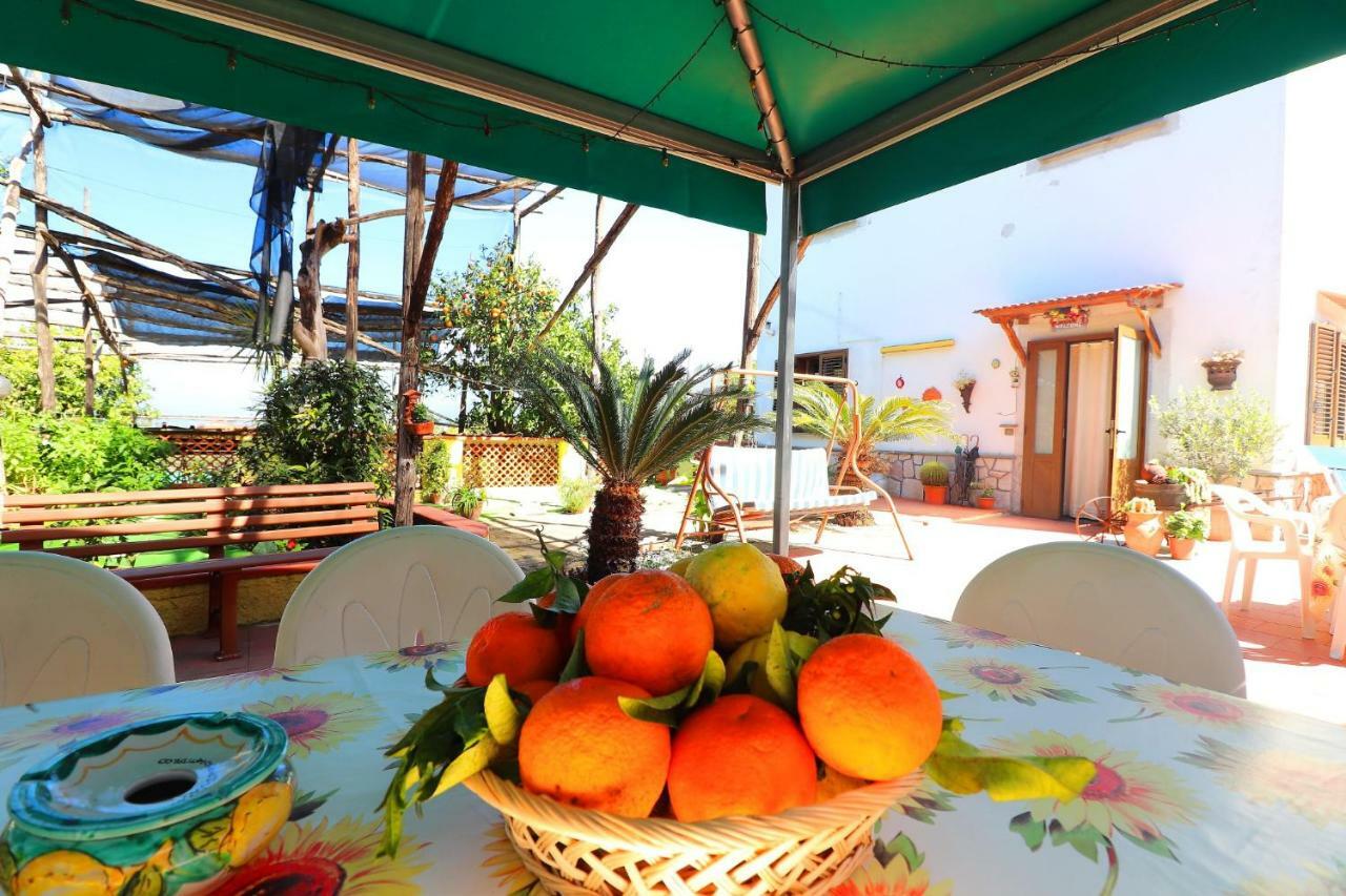 La Maison De Titty & Margherita Piano di Sorrento Ngoại thất bức ảnh